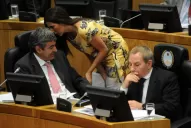 Contratarán a expertos de La Plata para obras