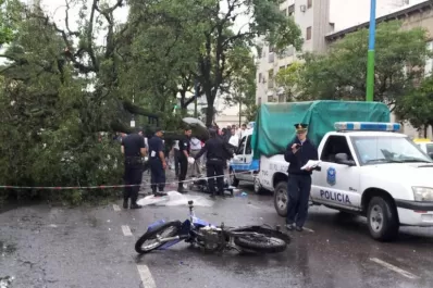 Un lapacho cayó en plena avenida y mató a un motociclista