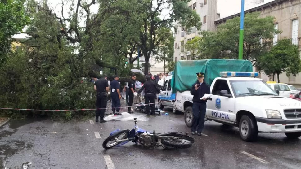 LA TAREA DE LOS PERITOS. La motocicleta quedó tirada a un costado del gigantesco árbol caído sobre el pavimento. LA GACETA / FOTO DE DAVID CORREA