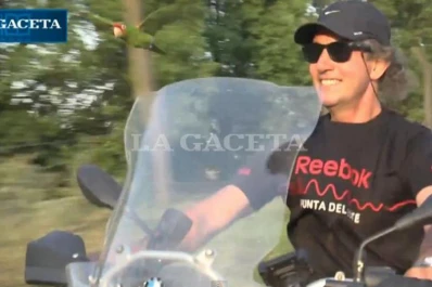 Se perdió el loro Beto y su dueño ofrece recompensa