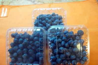 Una alianza entre el IDEP, productores y exportadores