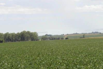 Siembra y fertilización de la soja