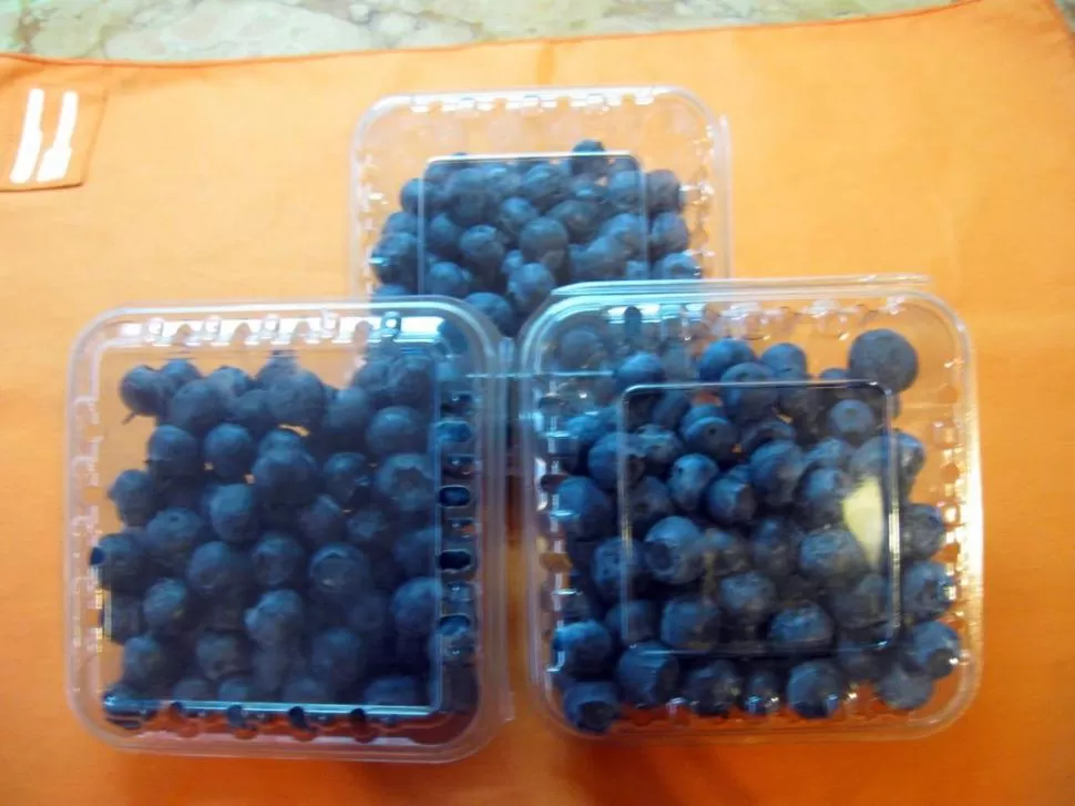 EEUU Y EUROPA. La fruta tucumana llega a los mercados más exigentes. 