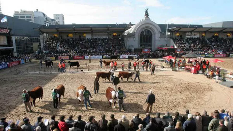 ARENA. La carpa se instalará en la pista central, anunciaron los productores. FOTO TOMADA DE TN.COM.AR