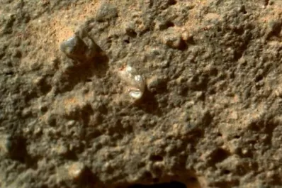 ¿Una flor en Marte?