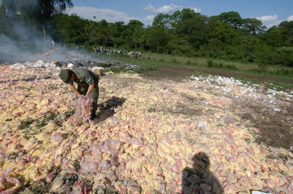 MAS DE 10 TONELADAS. En noviembre de 2005, Gendarmería destruyó la polenta que se encontraba en mal estado. LA GACETA / FOTO DE JORGE OLMOS SGROSSO (ARCHIVO)