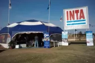 Desde el INTA Leales estiman que se puede sembrar hasta el 15