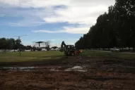 Habrá acción para todos