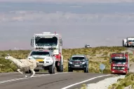 Dakar: suspenden el primer tramo de mañana, que debía largar en Cachi