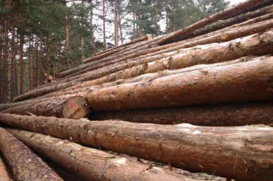 El gran desafío nacional es transformar la biomasa en energía