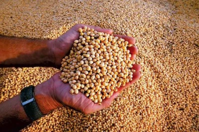 Posgrado de Especialización en Producción de Semillas