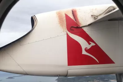 En Australia, una pitón voló aferrada al ala de un avión