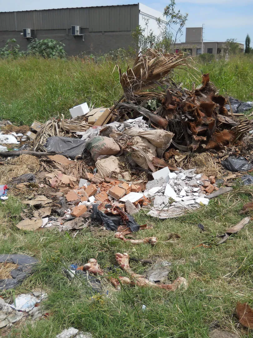 LO INCREÍBLE. La osamenta animal, a un lado de los escombros, la basura domiciliaria y otros desperdicios. LA GACETA / FOTOS DE OSCAR FERRONATO
