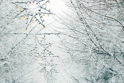 La mayoría de edad se festeja en Japón
