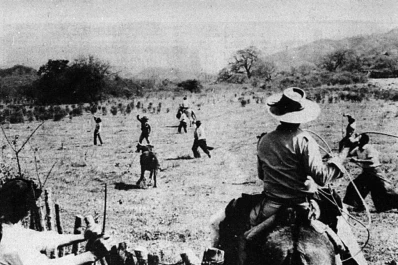 Señalados por el hierro, la picardía y el recuerdo