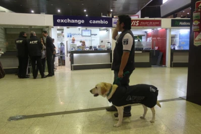 El recambio turístico no ayuda a la plaza local