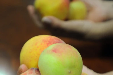 Preocupa el bajo precio del durazno y damasco