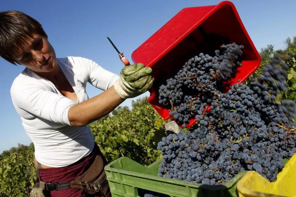 Los planes sociales serían una de las causas de que haya menos mano de obra disponible. REUTERS