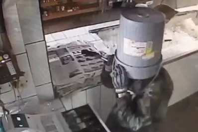 Un ladrón asaltó un restaurante con un balde en la cabeza