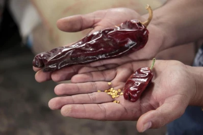 Especias de altura en estado puro para oler y saborear