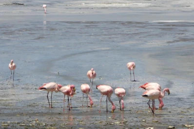 La Rioja: el paraíso que nunca te imaginaste