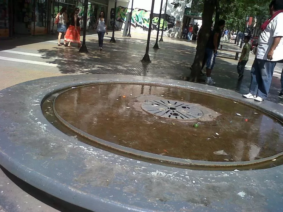 COLABORACIÓN. La foto de una lectora muestra el mal estado de la fuente. 