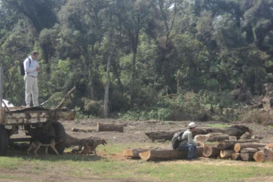 Si tengo que pagar la multa, lo haré, avisó Conte