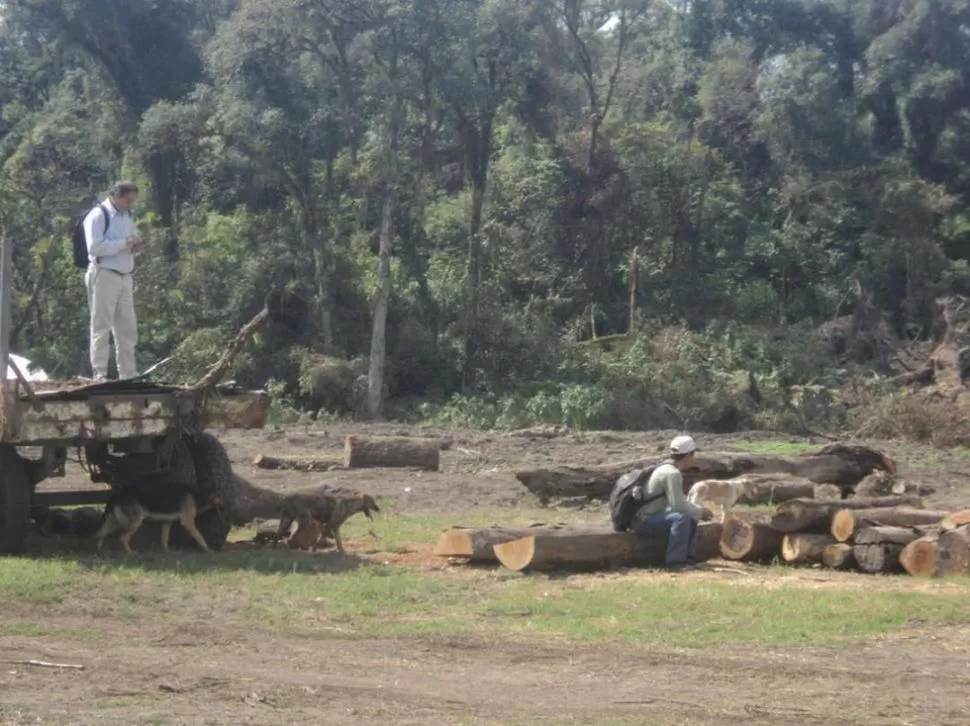  ÁRBOLES CAÍDOS. Así lucía en 2012 la finca de Conte, según un cacique. GENTILEZA COMUNIDAD INDIGENA SOLCO YAMPA