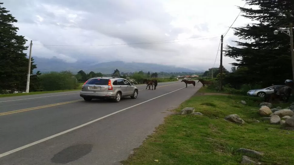 PELIGRO EN LA RUTA. Piden más controles en el lugar.  LA GACETA/JOSE NAZARO/VIA TWITTER