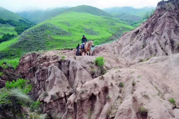 El yerbiao, alma y esencia de La ciénaga