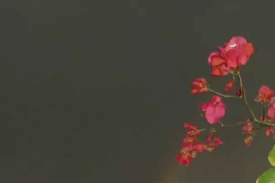 UNA BELLEZA. Los colores pintaron el oscuro cielo de una tarde inestable. GENTILEZA MIGUEL ANGEL CARRILLO