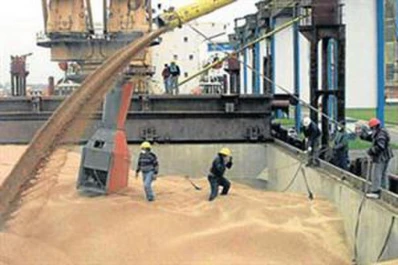 Brasil estudia un impuesto a la exportación de granos