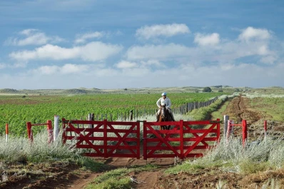 La política cambiaria y la inflación afectan al campo