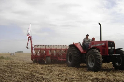 El remanente de la siembra nacional se registra en el NOA y el NEA