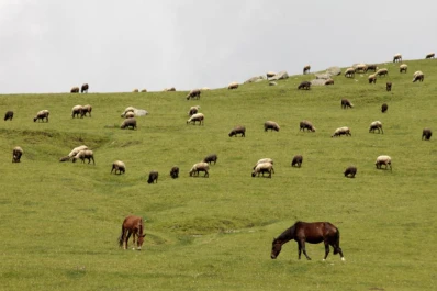 Una vuelta imperdible
