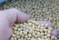 Los productores de granos, frente a un escenario complicado