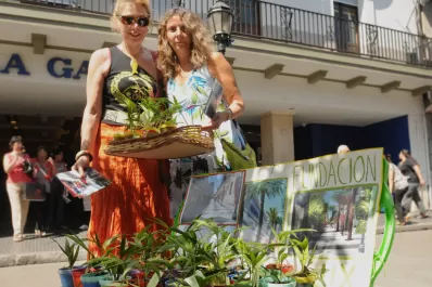 Porque sueñan con una peatonal repleta de palmeras, salieron a regalarlas