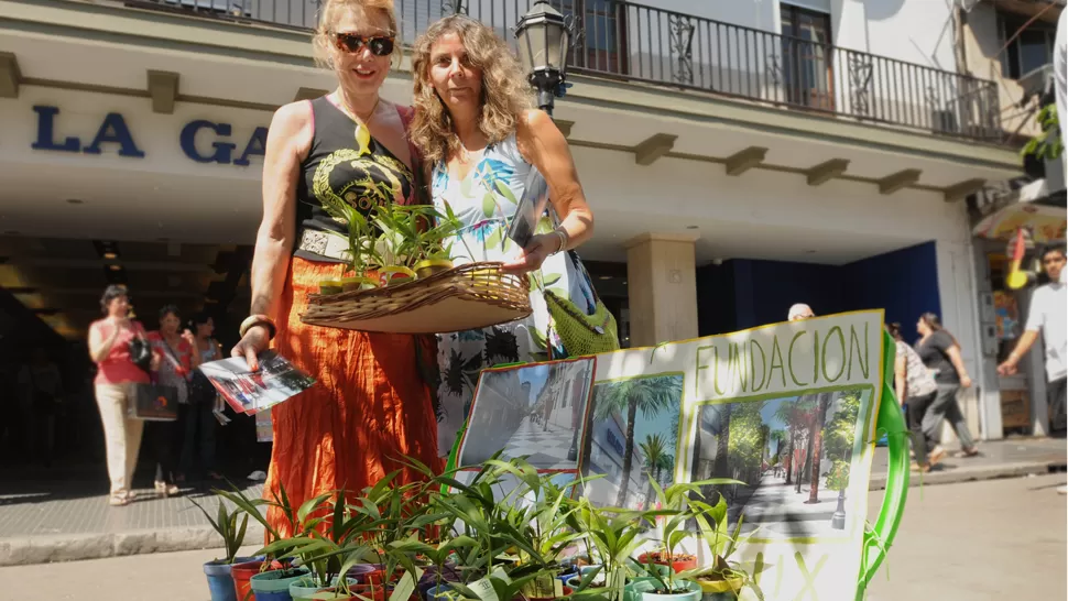 PROPUESTA. Esperan que la Municipalidad instale canteros para poder mejorar la peatonal con las nuevas plantas. LA GACETA / MARIA SILVIA GRANARA