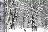 Cinco muertos y 5.300 vuelos suspendidos por la tormenta Nemo