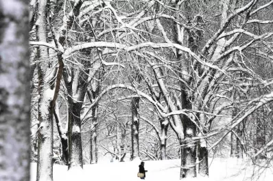 Cinco muertos y 5.300 vuelos suspendidos por la tormenta Nemo