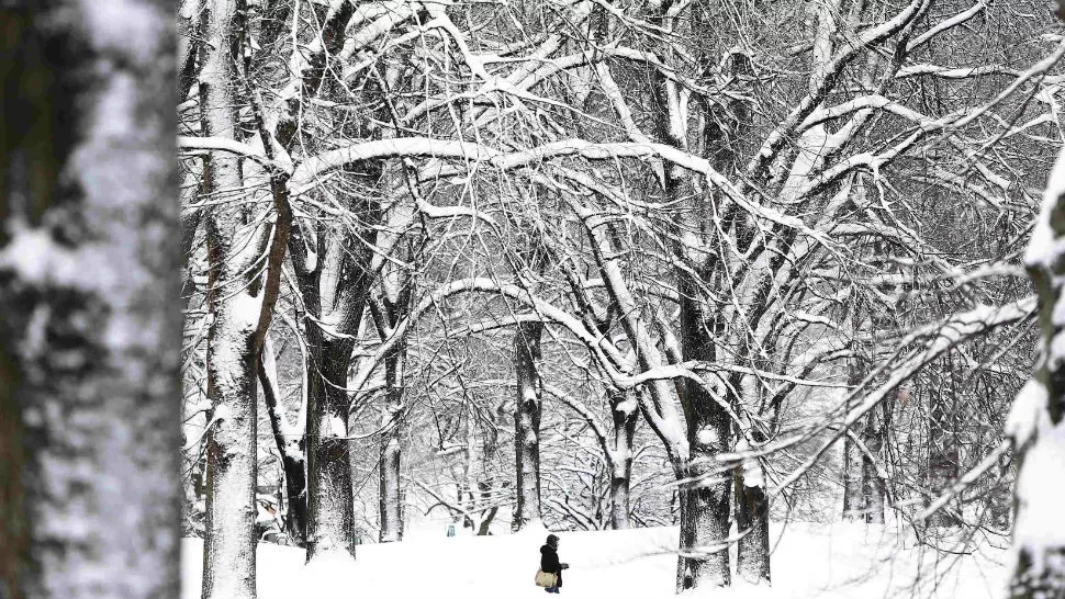 VISTA. Los parques se tiñeron de blanco. REUTERS