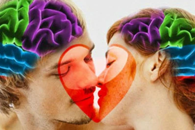 Así funciona un cerebro enamorado