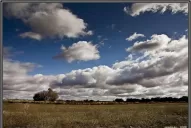 El productor mira al cielo, pero las lluvias que necesitan los cultivos se hacen esperar