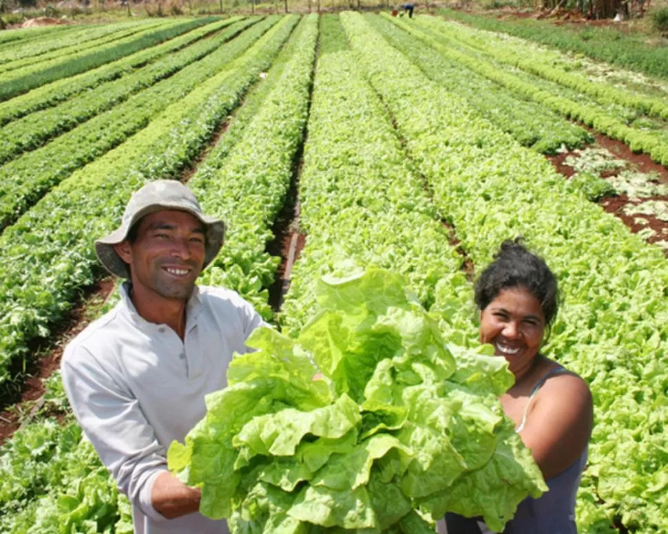 AGRICULTURA FAMILIAR. Presentaron proyectos en  localidades salteñas. 