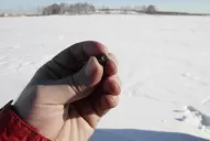 Hallan fragmentos del meteorito que cayó en Rusia