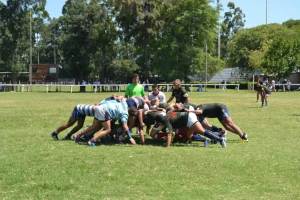 Seleccionando naranjitas