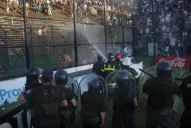 ¡Basta de tanta locura!