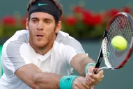 Del Potro le ganó a Djokovic y es finalista