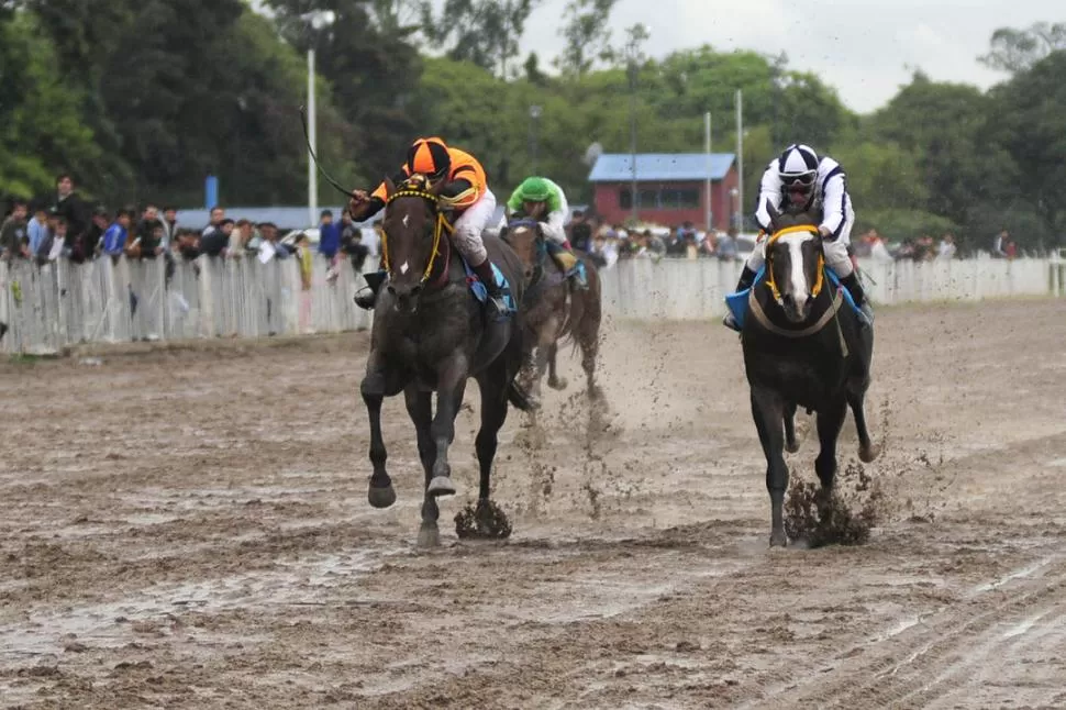 GRAN ACCIÓN. El santiagueño Prince Of Wales (izquierda) apareció con mucha fuerza en los metros finales de la carrera. 