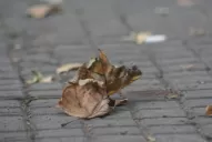 Desde las 8.02, estamos en otoño